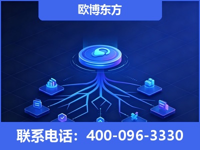 禄丰-全链豆包优化